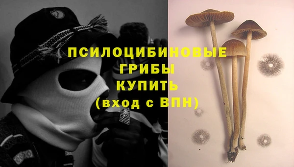 PSILOCYBIN Балабаново